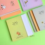دفتر 100 برگ جلد نیم سخت خط دار کایلو
